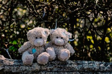 Zwei niedliche Teddybären sitzen Arm in Arm.